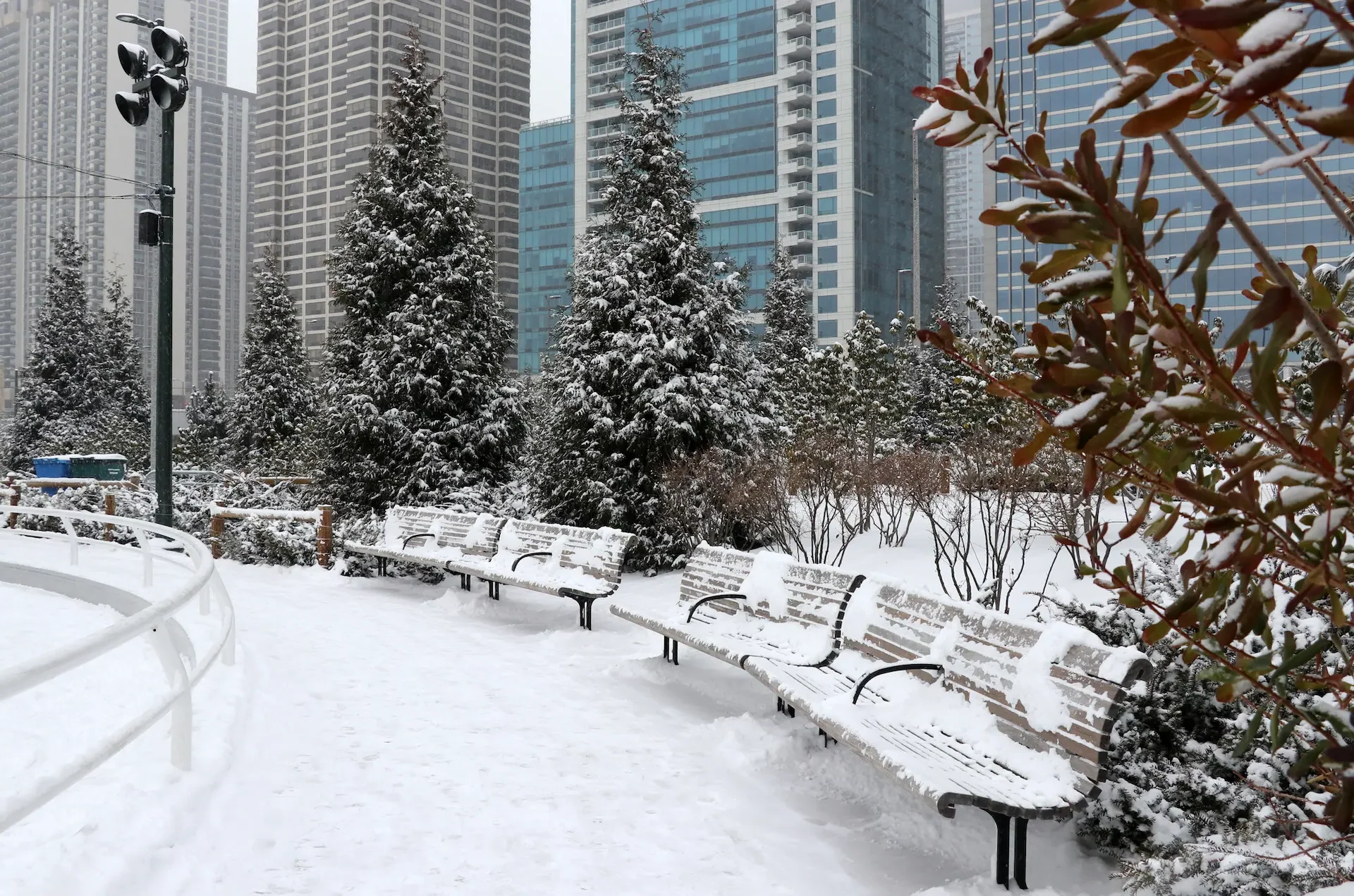 Christmas in Chicago. Modern architecture and cityscape background.